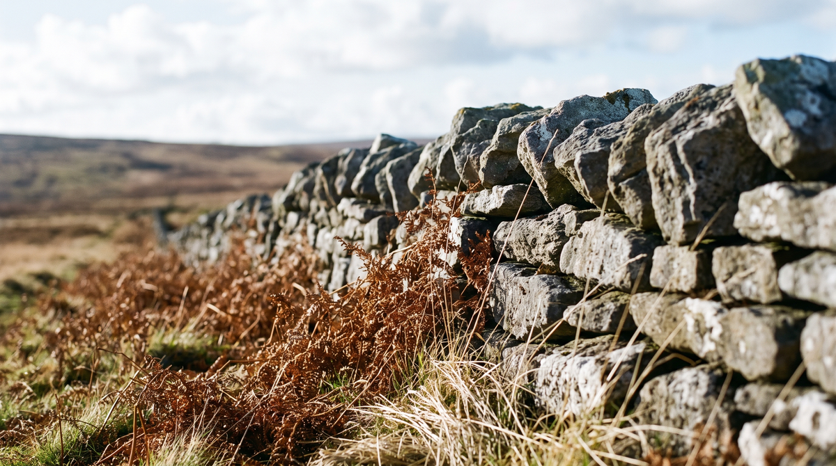 Bracken and limestone, the colours we keep coming back to.