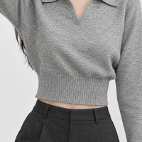 Silverburn Polo Knit Top - Lead Product Detail